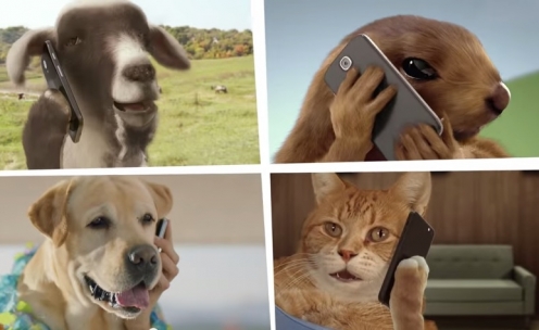 Tim solta a bicharada para lan&ccedil;ar App