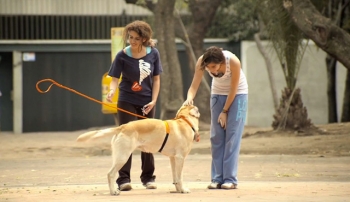 Donos invis&iacute;veis