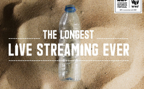 ONG transmitir&aacute; por quatro s&eacute;culos e meio a decomposi&ccedil;&atilde;o de uma garrafa pl&aacute;stica 