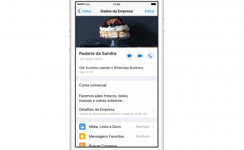 WhatsApp Business est&aacute; dispon&iacute;vel tamb&eacute;m para iOS