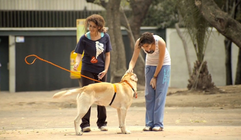 Donos invis&iacute;veis