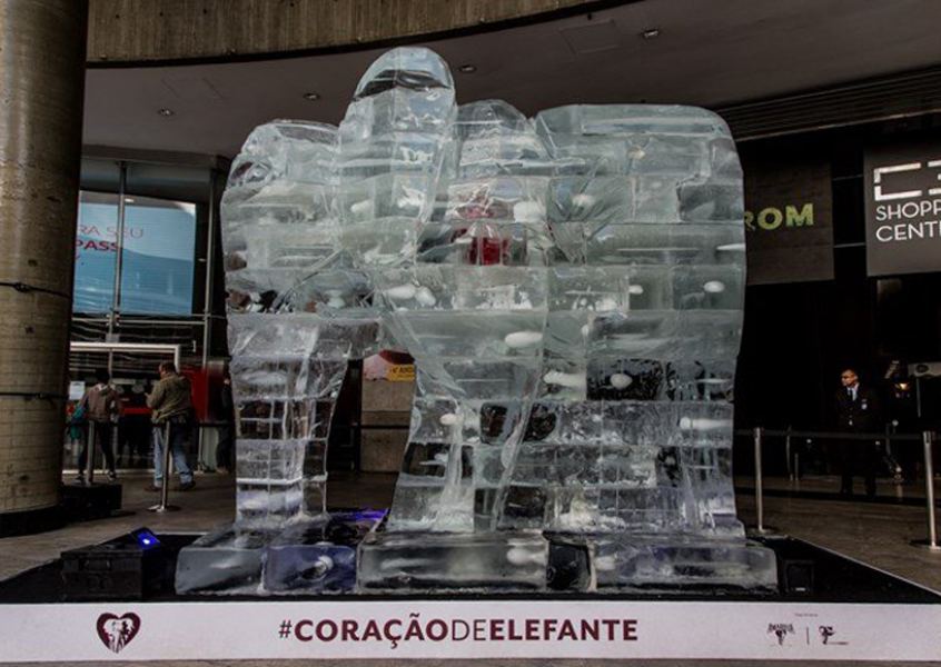 Com uma escultura em gelo de tr&ecirc;s metros colocada na Paulista, Amarula alerta sobre extin&ccedil;&atilde;o dos elefantes! 