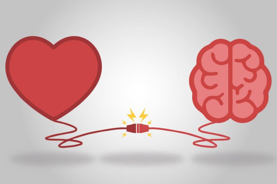 Share of Heart: A paix&atilde;o pela marca